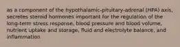 as a component of the hypothalamic-pituitary-adrenal (HPA) axis, secretes steroid hormones important for the regulation of the long-term stress response, blood pressure and blood volume, nutrient uptake and storage, fluid and electrolyte balance, and inflammation