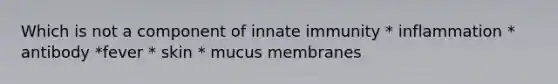 Which is not a component of innate immunity * inflammation * antibody *fever * skin * mucus membranes