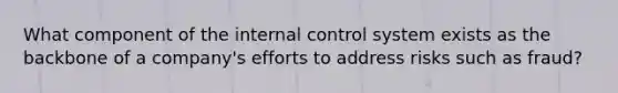 What component of the internal control system exists as the backbone of a company's efforts to address risks such as fraud?