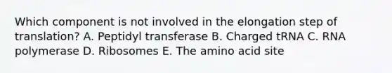 Which component is not involved in the elongation step of translation? A. Peptidyl transferase B. Charged tRNA C. RNA polymerase D. Ribosomes E. The amino acid site