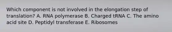 Which component is not involved in the elongation step of translation? A. RNA polymerase B. Charged tRNA C. The amino acid site D. Peptidyl transferase E. Ribosomes