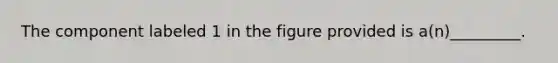 The component labeled 1 in the figure provided is a(n)_________.