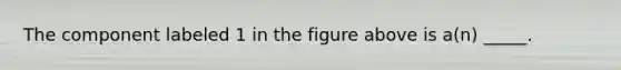 The component labeled 1 in the figure above is a(n) _____.