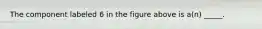 The component labeled 6 in the figure above is a(n) _____.