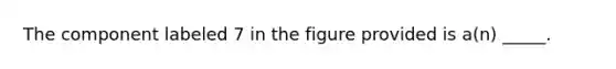 The component labeled 7 in the figure provided is a(n) _____.