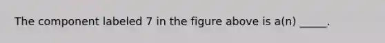 The component labeled 7 in the figure above is a(n) _____.