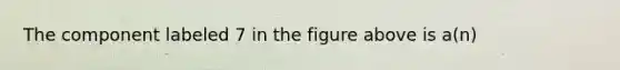 The component labeled 7 in the figure above is a(n)