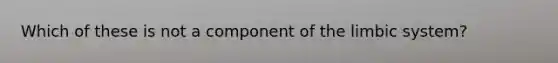 Which of these is not a component of the limbic system?
