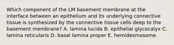 Which component of the LM basement membrane at the interface between an epithelium and its underlying connective tissue is synthesized by the connective tissue cells deep to the basement membrane? A. lamina lucida B. epithelial glycocalyx C. lamina reticularis D. basal lamina proper E. hemidesmosome