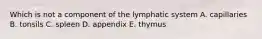 Which is not a component of the lymphatic system A. capillaries B. tonsils C. spleen D. appendix E. thymus