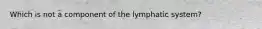 Which is not a component of the lymphatic system?