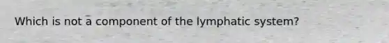 Which is not a component of the lymphatic system?