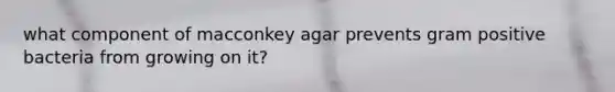 what component of macconkey agar prevents gram positive bacteria from growing on it?