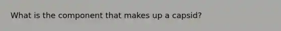What is the component that makes up a capsid?