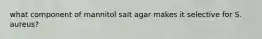 what component of mannitol salt agar makes it selective for S. aureus?