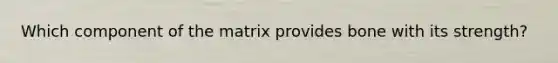 Which component of the matrix provides bone with its strength?