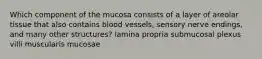 Which component of the mucosa consists of a layer of areolar tissue that also contains blood vessels, sensory nerve endings, and many other structures? lamina propria submucosal plexus villi muscularis mucosae