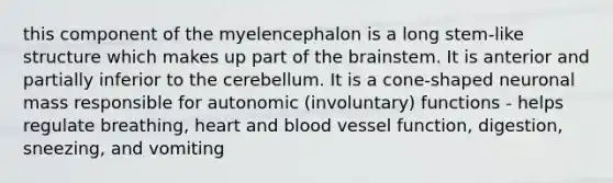 this component of the myelencephalon is a long stem-like structure which makes up part of the brainstem. It is anterior and partially inferior to the cerebellum. It is a cone-shaped neuronal mass responsible for autonomic (involuntary) functions - helps regulate breathing, heart and blood vessel function, digestion, sneezing, and vomiting