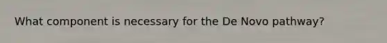 What component is necessary for the De Novo pathway?