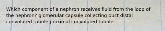 Which component of a nephron receives fluid from the loop of the nephron? glomerular capsule collecting duct distal convoluted tubule proximal convoluted tubule