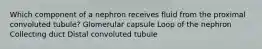 Which component of a nephron receives fluid from the proximal convoluted tubule? Glomerular capsule Loop of the nephron Collecting duct Distal convoluted tubule