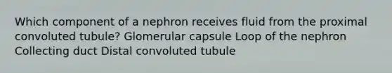 Which component of a nephron receives fluid from the proximal convoluted tubule? Glomerular capsule Loop of the nephron Collecting duct Distal convoluted tubule