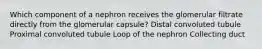 Which component of a nephron receives the glomerular filtrate directly from the glomerular capsule? Distal convoluted tubule Proximal convoluted tubule Loop of the nephron Collecting duct