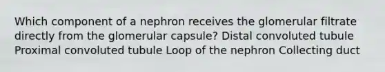 Which component of a nephron receives the glomerular filtrate directly from the glomerular capsule? Distal convoluted tubule Proximal convoluted tubule Loop of the nephron Collecting duct