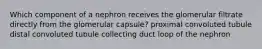 Which component of a nephron receives the glomerular filtrate directly from the glomerular capsule? proximal convoluted tubule distal convoluted tubule collecting duct loop of the nephron