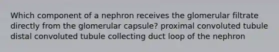 Which component of a nephron receives the glomerular filtrate directly from the glomerular capsule? proximal convoluted tubule distal convoluted tubule collecting duct loop of the nephron