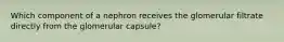 Which component of a nephron receives the glomerular filtrate directly from the glomerular capsule?