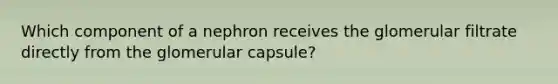 Which component of a nephron receives the glomerular filtrate directly from the glomerular capsule?