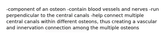 -component of an osteon -contain blood vessels and nerves -run perpendicular to the central canals -help connect multiple central canals within different osteons, thus creating a vascular and innervation connection among the multiple osteons