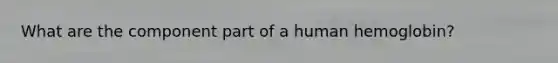 What are the component part of a human hemoglobin?
