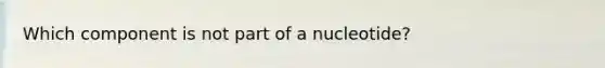 Which component is not part of a nucleotide?