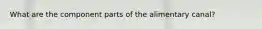 What are the component parts of the alimentary canal?