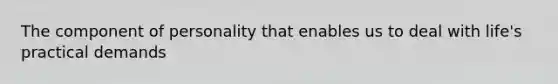 The component of personality that enables us to deal with life's practical demands