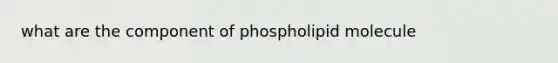 what are the component of phospholipid molecule