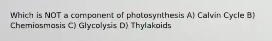 Which is NOT a component of photosynthesis A) Calvin Cycle B) Chemiosmosis C) Glycolysis D) Thylakoids