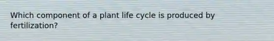 Which component of a plant life cycle is produced by fertilization?