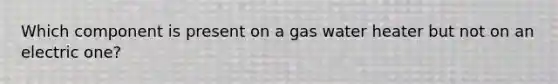 Which component is present on a gas water heater but not on an electric one?