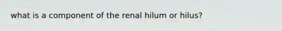 what is a component of the renal hilum or hilus?