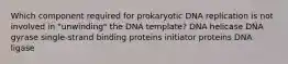 Which component required for prokaryotic DNA replication is not involved in "unwinding" the DNA template? DNA helicase DNA gyrase single‑strand binding proteins initiator proteins DNA ligase