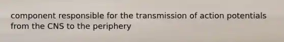 component responsible for the transmission of action potentials from the CNS to the periphery