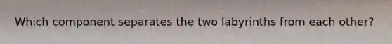 Which component separates the two labyrinths from each other?