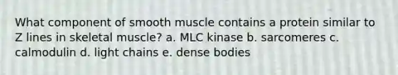 What component of smooth muscle contains a protein similar to Z lines in skeletal muscle? a. MLC kinase b. sarcomeres c. calmodulin d. light chains e. dense bodies