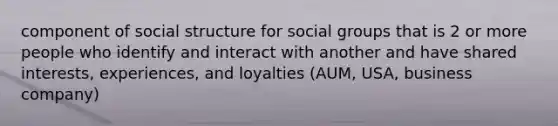 component of social structure for social groups that is 2 or more people who identify and interact with another and have shared interests, experiences, and loyalties (AUM, USA, business company)