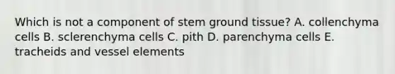 Which is not a component of stem ground tissue? A. collenchyma cells B. sclerenchyma cells C. pith D. parenchyma cells E. tracheids and vessel elements