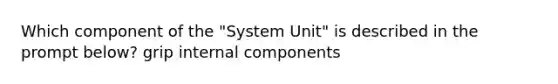 Which component of the "System Unit" is described in the prompt below? grip internal components