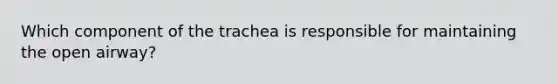 Which component of the trachea is responsible for maintaining the open airway?